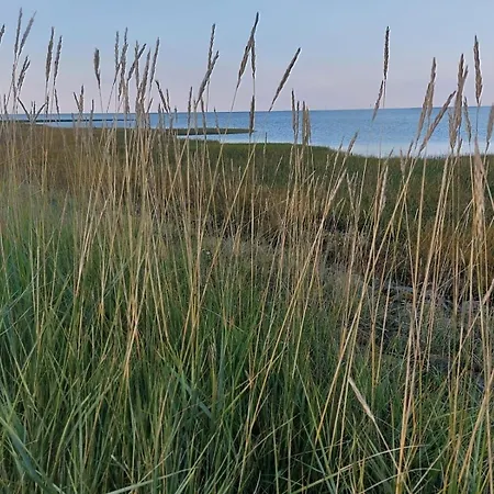 Lägenhet Gesamte In Burhave Butjadingen